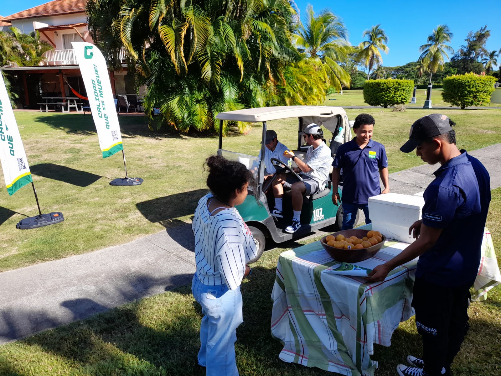 Vista del torneo Copa Greenfield 2024